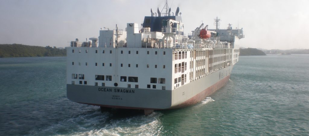 New Building Livestock Carriers New Building Livestock Carriers