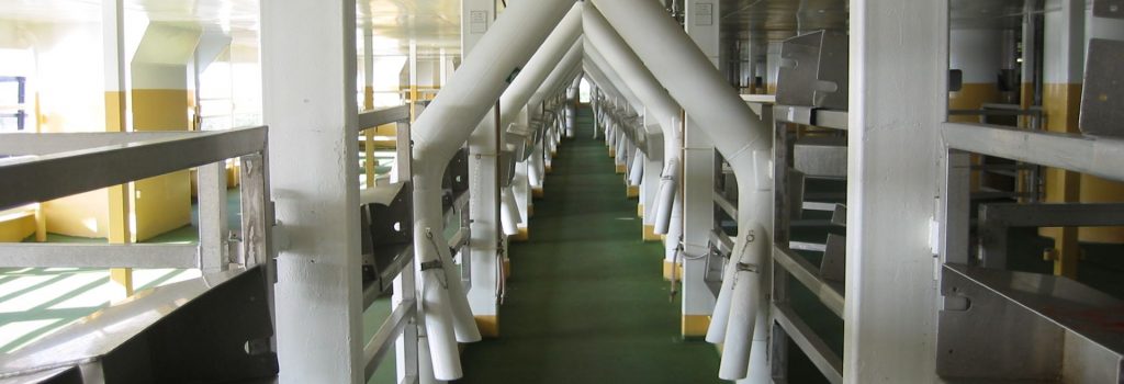 Supervision during construction of a livestock carrier Supervision during construction of a livestock carrier